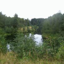 Фото природа