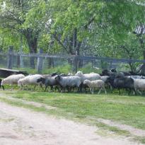 Фото природа